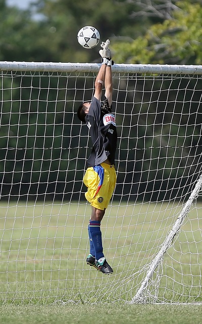 多家庭感受 多家庭感受