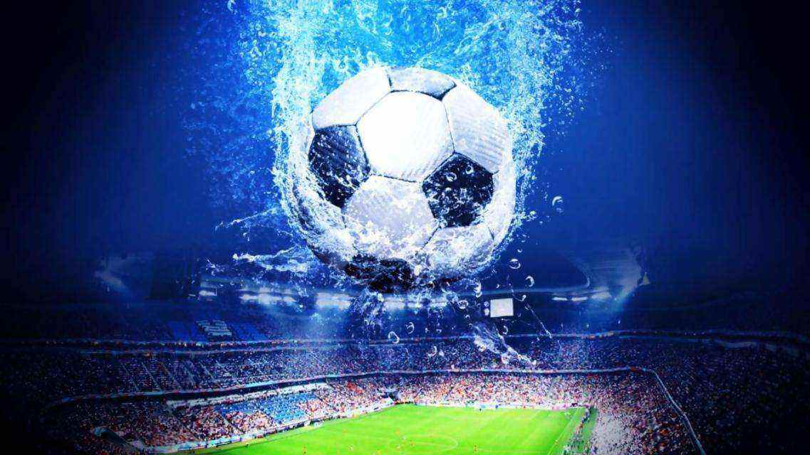 归法国国家 归法国国家