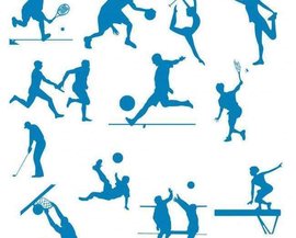 森林狼的冷 森林狼的冷