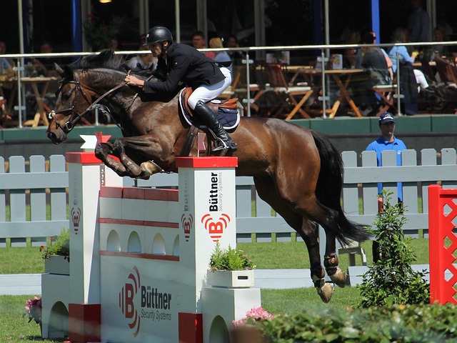 仅历史悠久 仅历史悠久